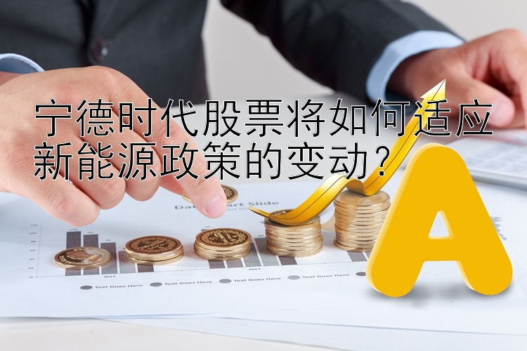 宁德时代股票将如何适应新能源政策的变动？