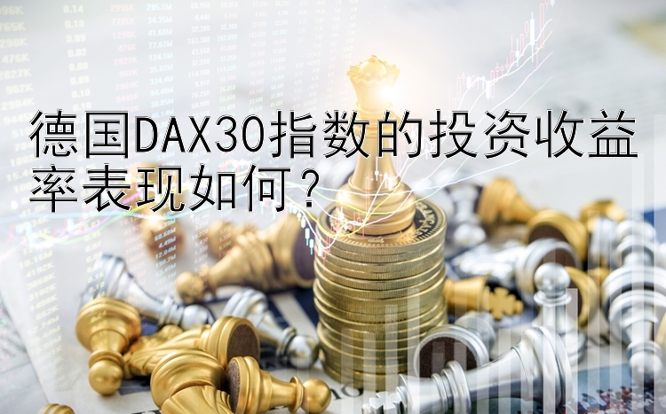 德国DAX30指数的投资收益率表现如何？