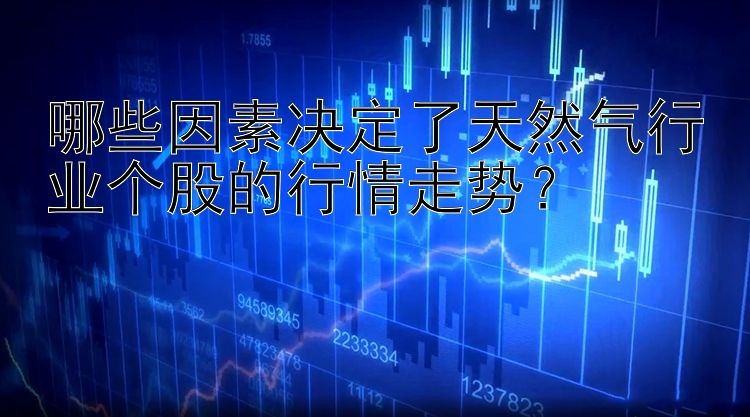 哪些因素决定了天然气行业个股的行情走势？