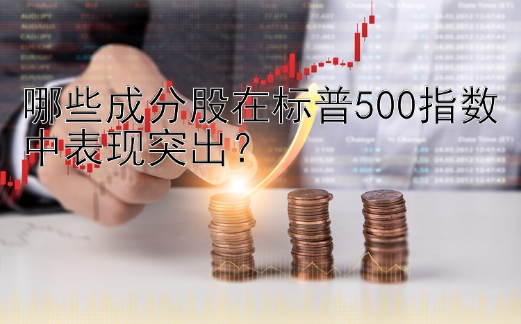 哪些成分股在标普500指数中表现突出？