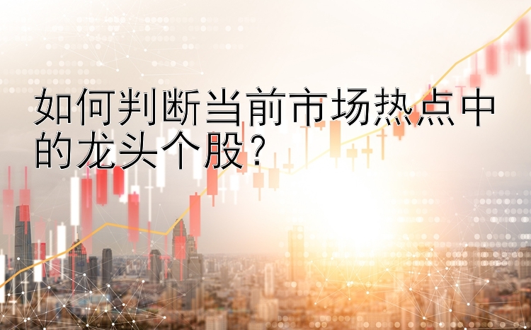 如何判断当前市场热点中的龙头个股？