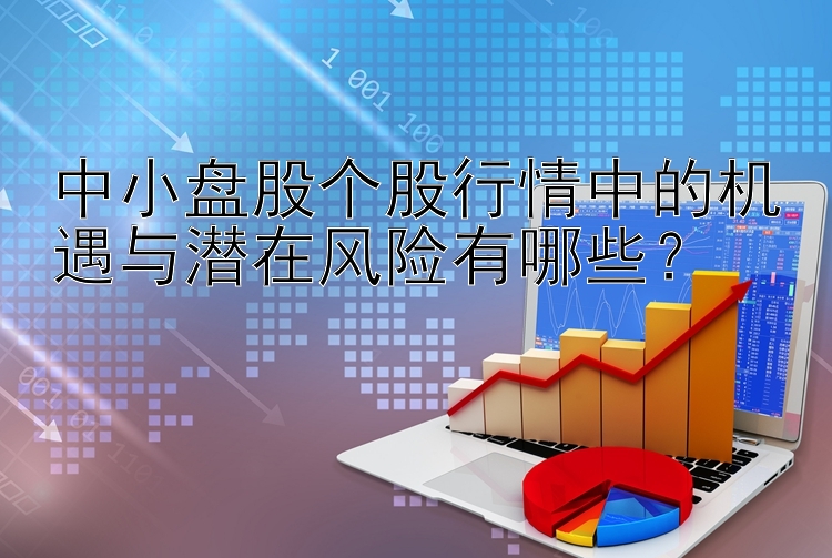 中小盘股个股行情中的机遇与潜在风险有哪些？