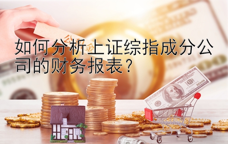 如何分析上证综指成分公司的财务报表？