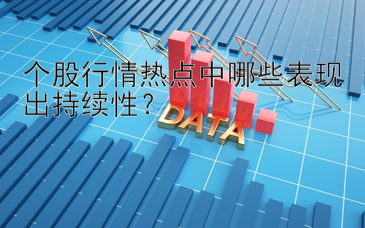 个股行情热点中哪些表现出持续性？