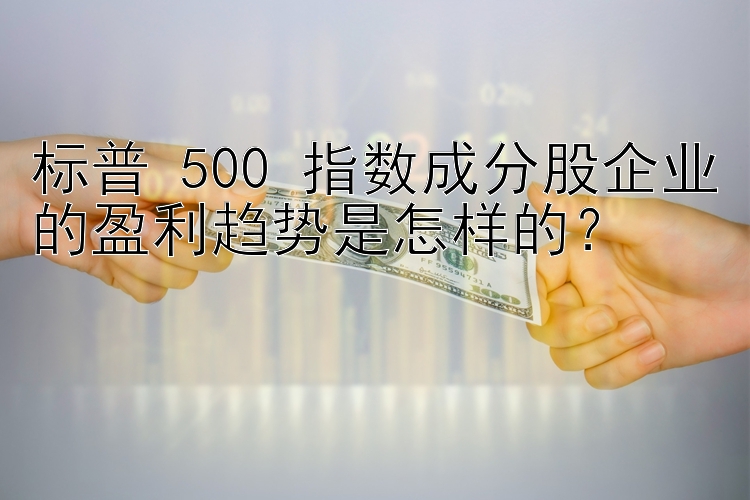 标普 500 指数成分股企业的盈利趋势是怎样的？