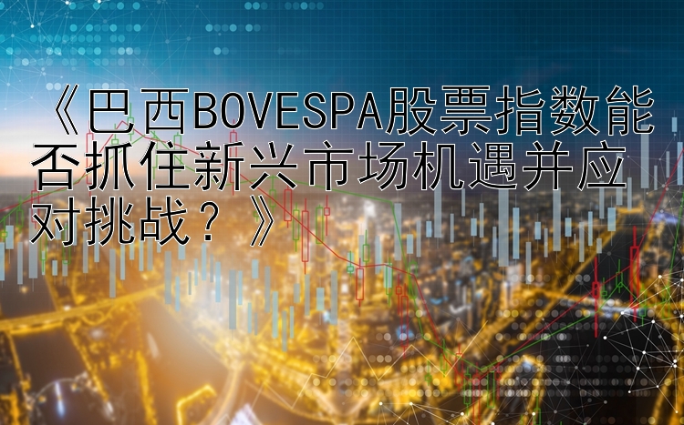 《巴西BOVESPA股票指数能否抓住新兴市场机遇并应对挑战？》