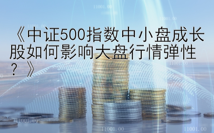 《中证500指数中小盘成长股如何影响大盘行情弹性？》