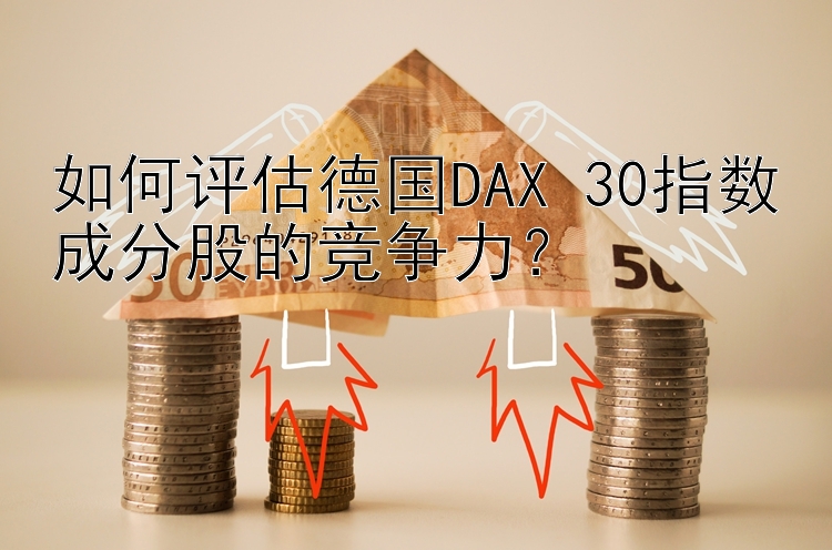 如何评估德国DAX 30指数成分股的竞争力？