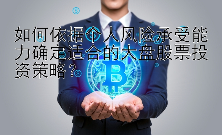 如何依据个人风险承受能力确定适合的大盘股票投资策略？