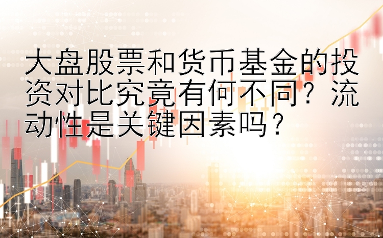 大盘股票和货币基金的投资对比究竟有何不同？流动性是关键因素吗？