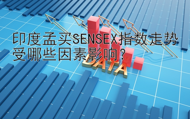 印度孟买SENSEX指数走势受哪些因素影响？