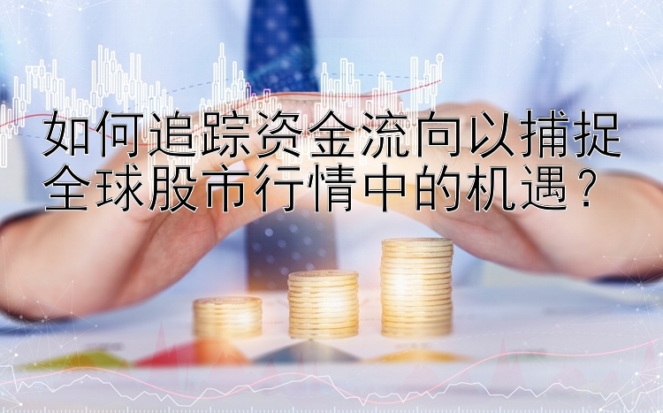 如何追踪资金流向以捕捉全球股市行情中的机遇？